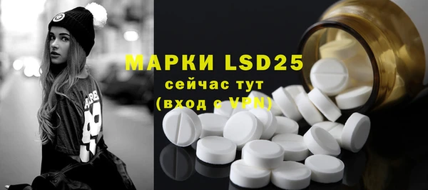 винт Богданович
