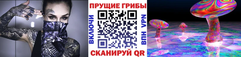 магазин  наркотиков  Кировск  Псилоцибиновые грибы Psilocybe 