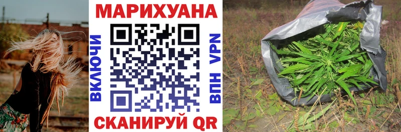 Конопля гибрид Кировск